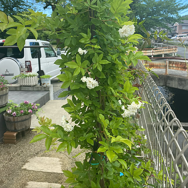 maa...さんの実例写真