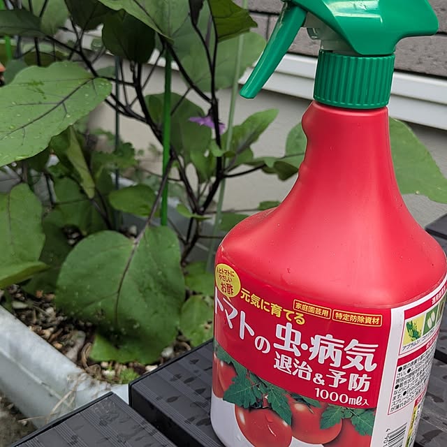 Rさんの部屋