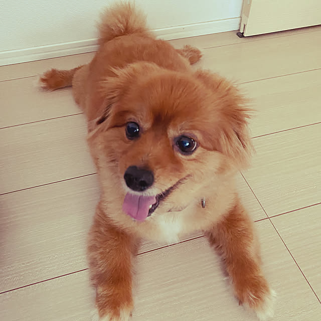 taeさんの実例写真
