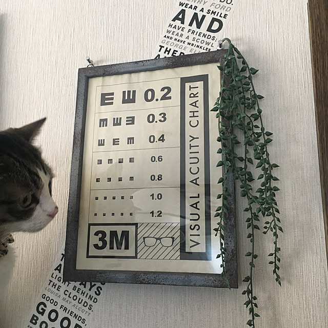 Rumiさんの実例写真