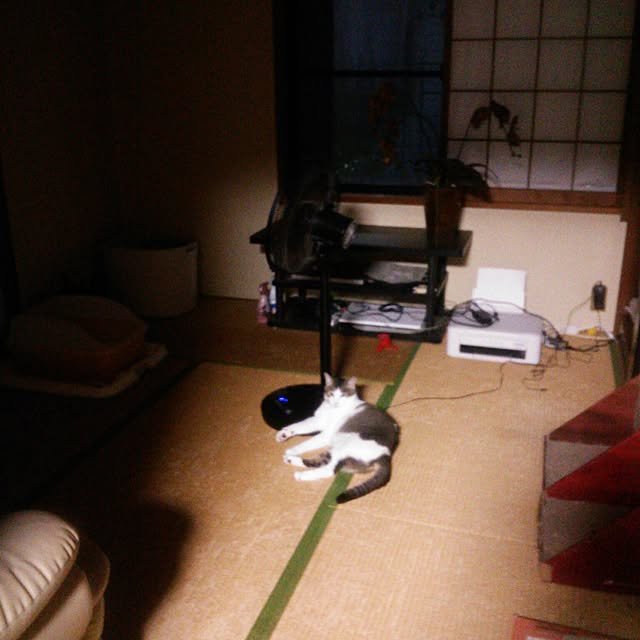 Tomopさんの部屋