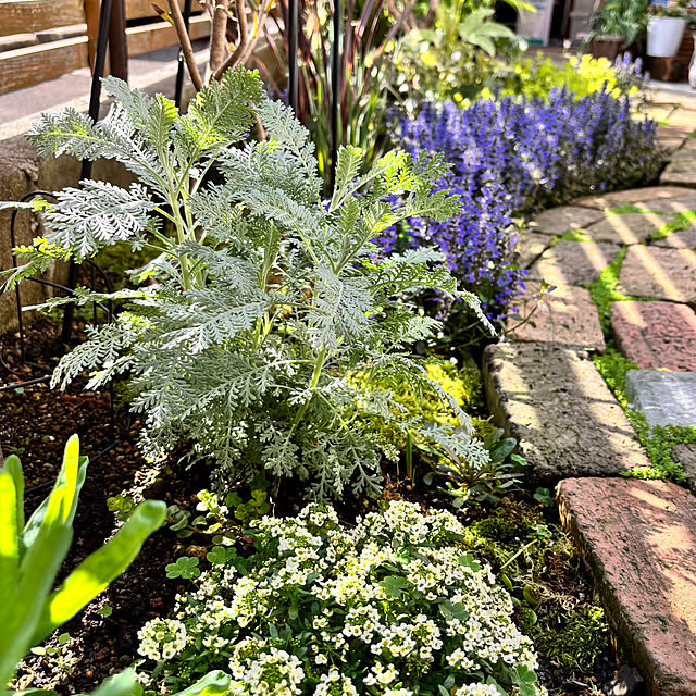 kyoko1124koさんの部屋