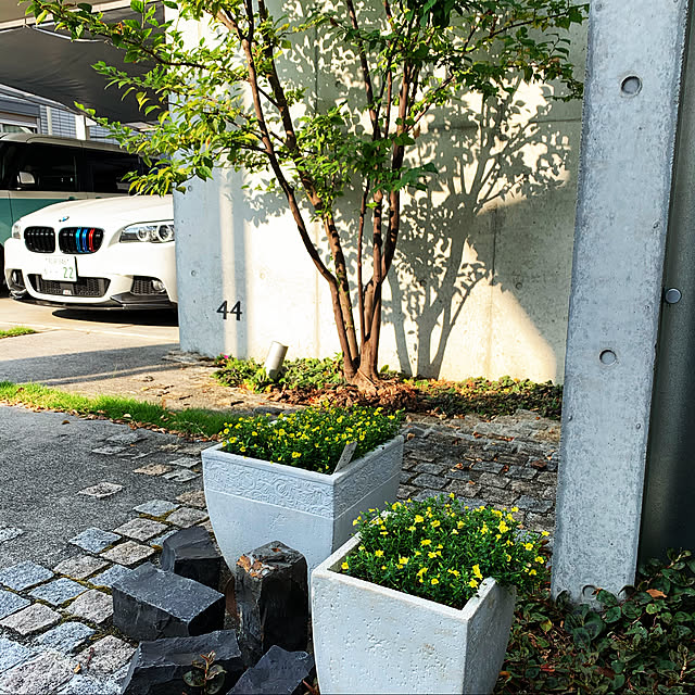 Akiraさんの実例写真
