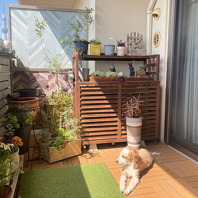 marukoさんの部屋