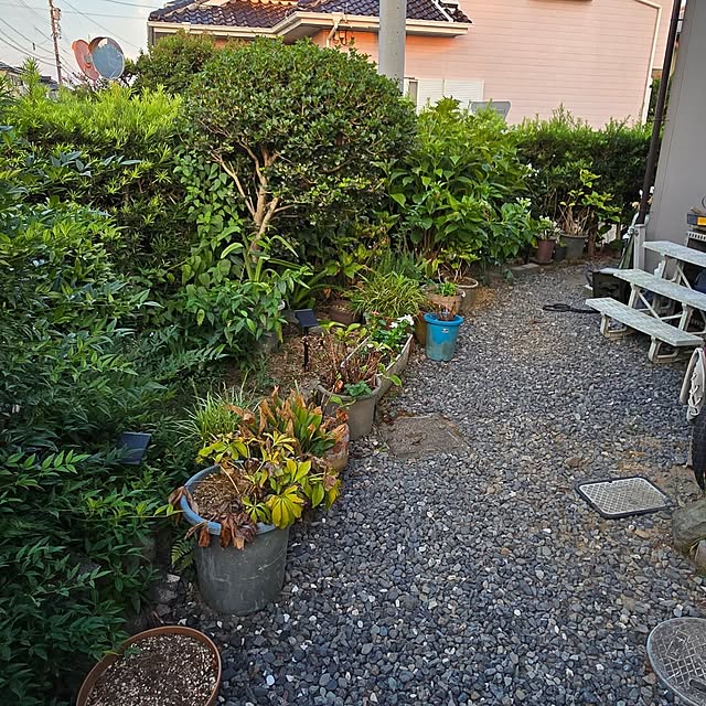 fuchan0930さんの部屋