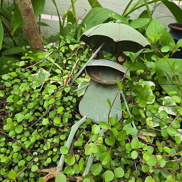 min_nimさんの実例写真