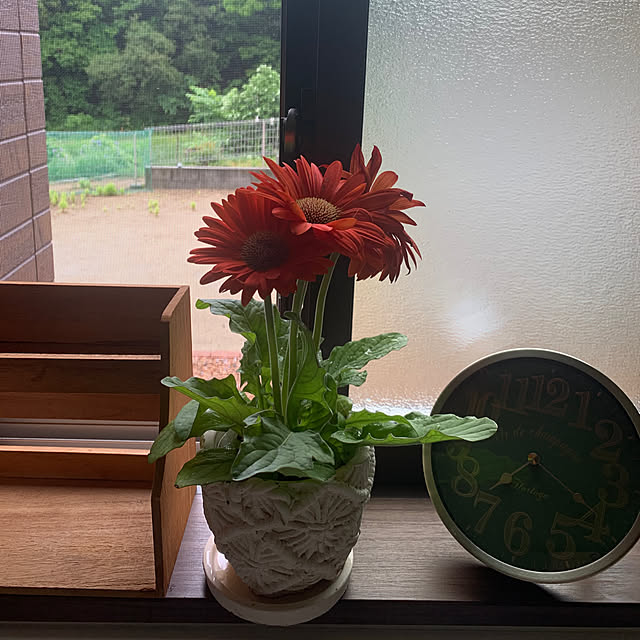 キッチン/朝活/平屋/Happyのインテリア実例 - 2025-05-22 18:01:33