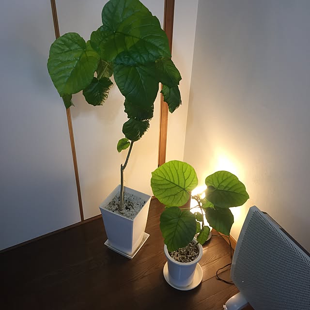 wasabisukiさんの実例写真