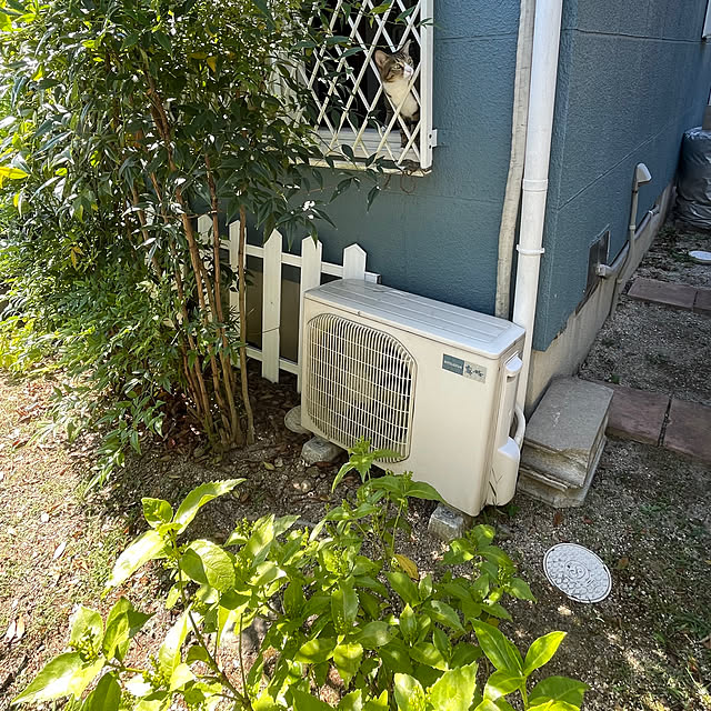 nobikoさんの部屋