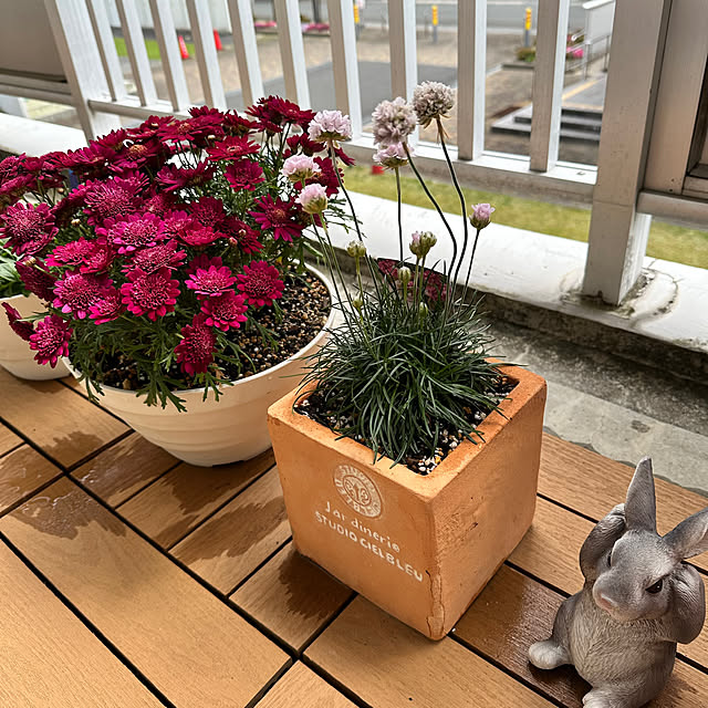 miyumiyuさんの部屋