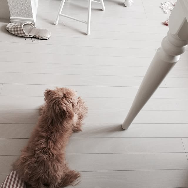 risapinkさんの実例写真