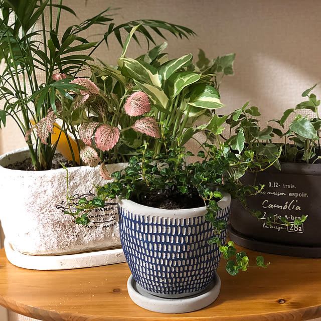 Riosukeさんの実例写真