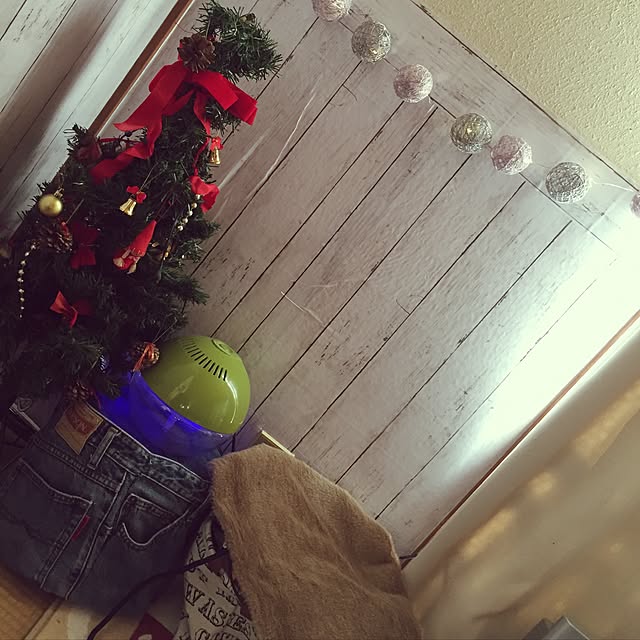 naokonさんの実例写真