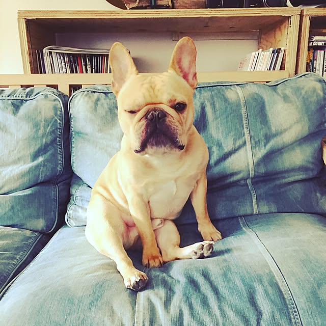 pkさんの実例写真