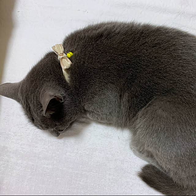 KAZさんの部屋