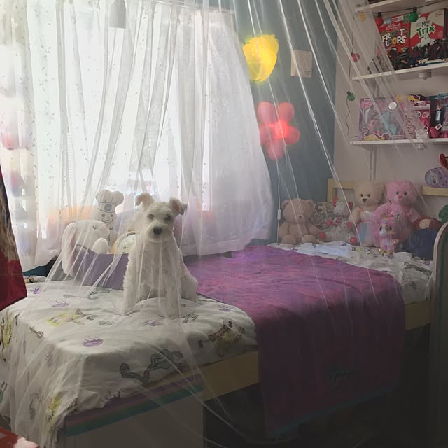 suzyさんの実例写真