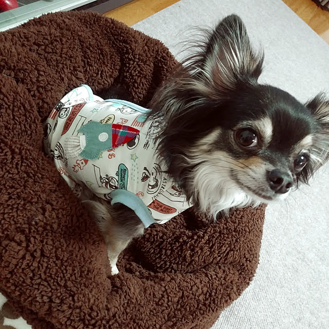 実例写真