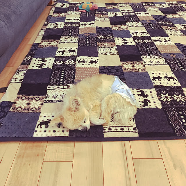 Rapportさんの実例写真