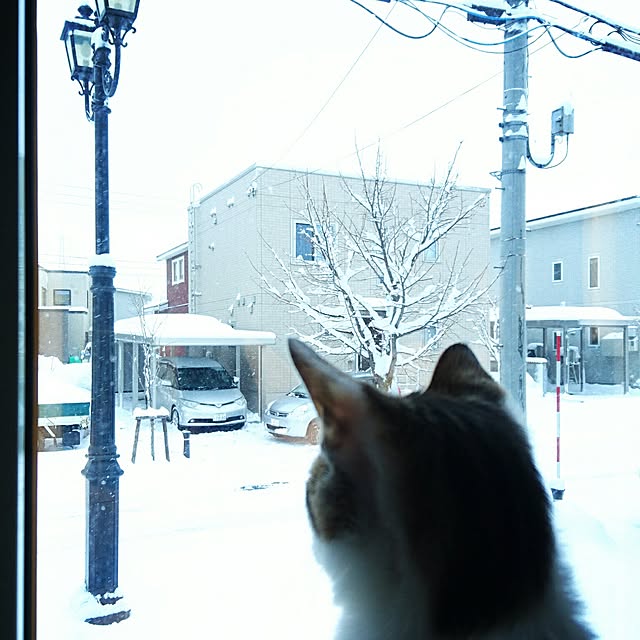 akikoさんの実例写真
