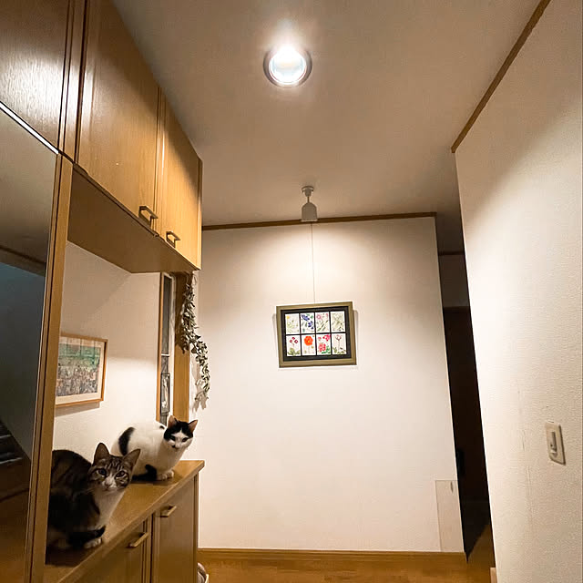 nobikoさんの実例写真