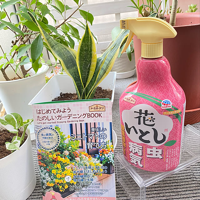 ayaさんの実例写真