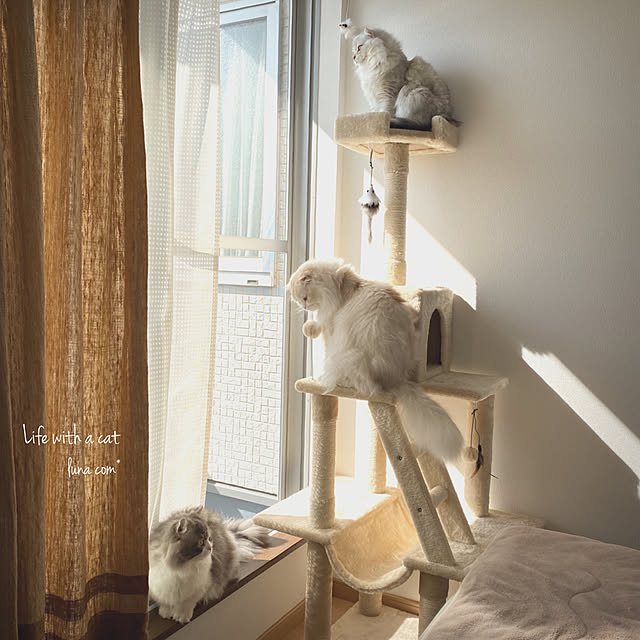 luna.comさんの実例写真