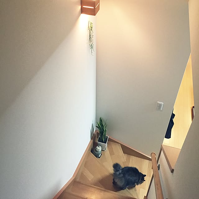 yuki0511さんの実例写真