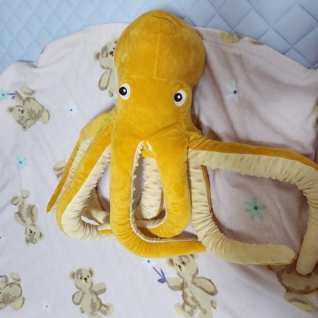 nao814さんの実例写真