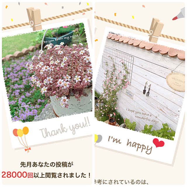 kiraraさんの実例写真