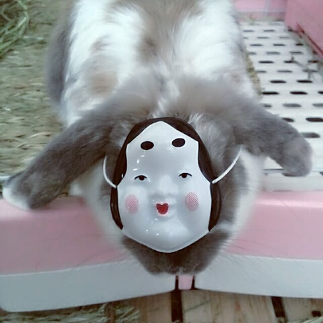 COROLさんの実例写真