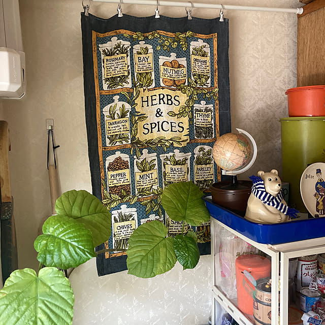 heidiさんの実例写真