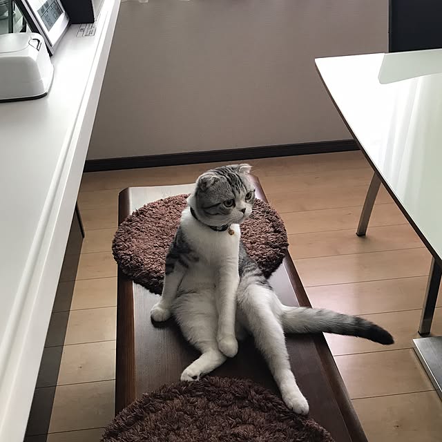 Dahliaさんの実例写真