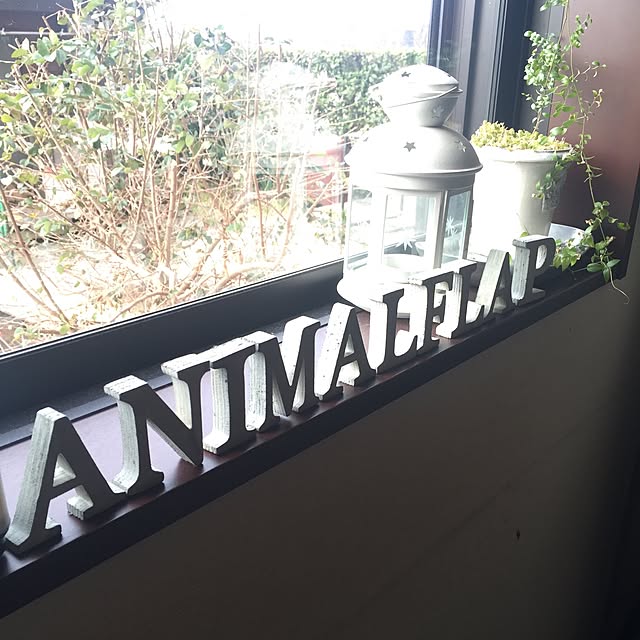 animalflapさんの実例写真