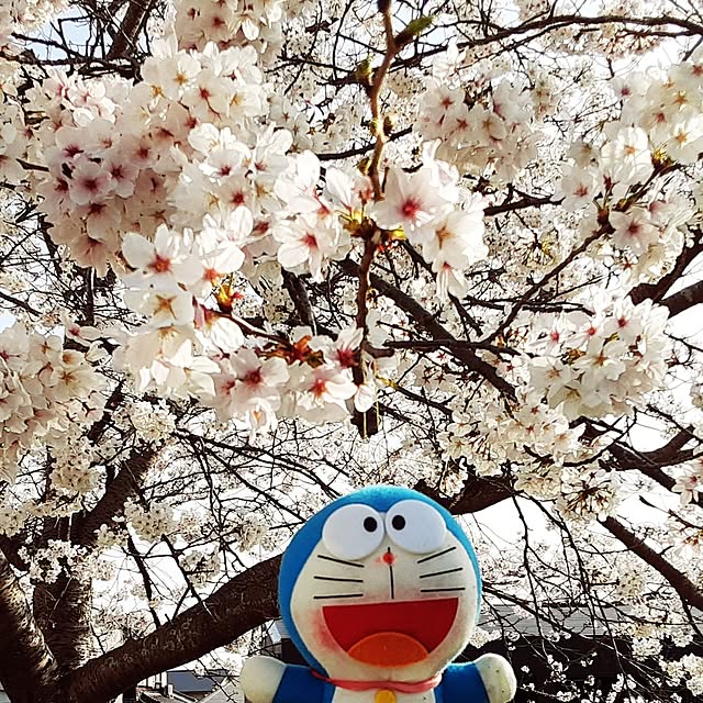 katさんの部屋