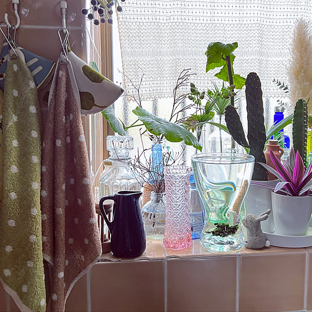 mohhaさんの実例写真