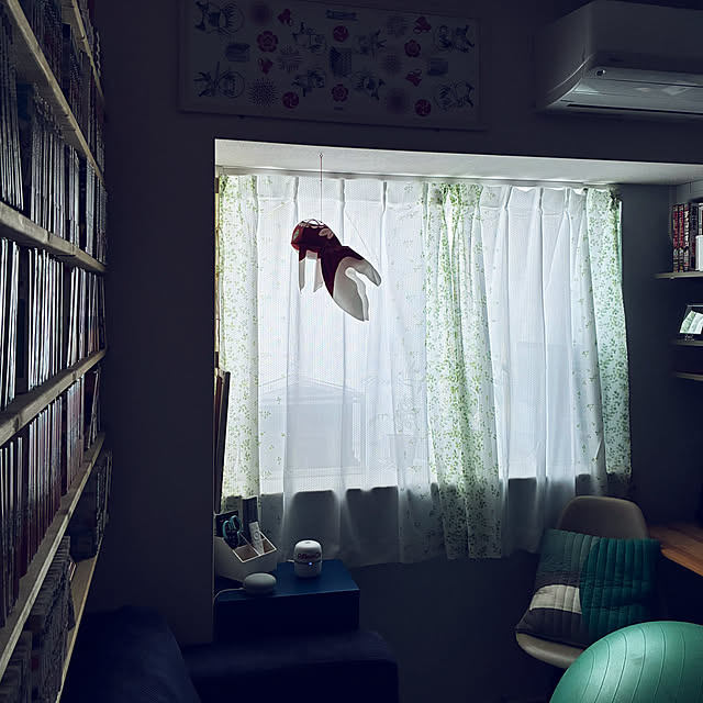koshiregutyoさんの部屋