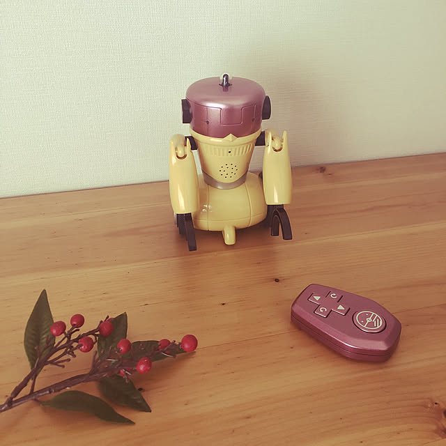 mizo10さんの実例写真