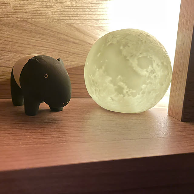 Hippopo-tomoさんの実例写真