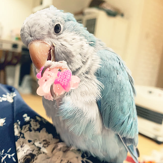 ryushinさんの実例写真