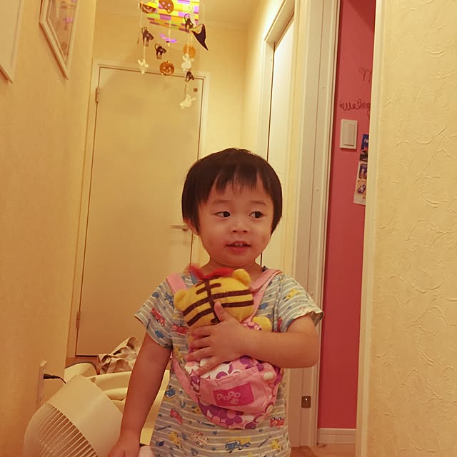 pugholicさんの実例写真