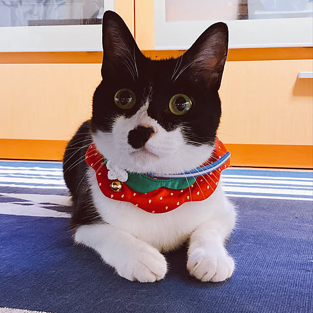 moolさんの実例写真
