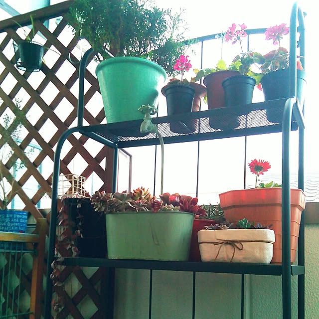VERANDARJUNさんの実例写真