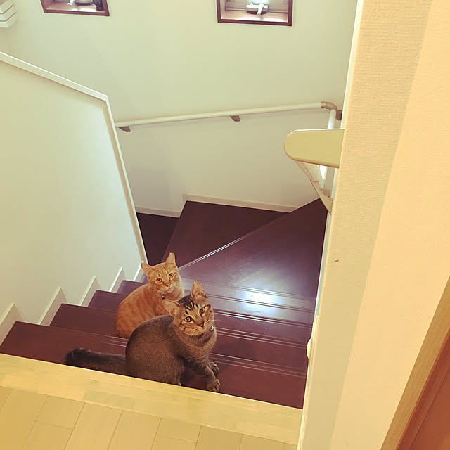 akkorosukeさんの実例写真