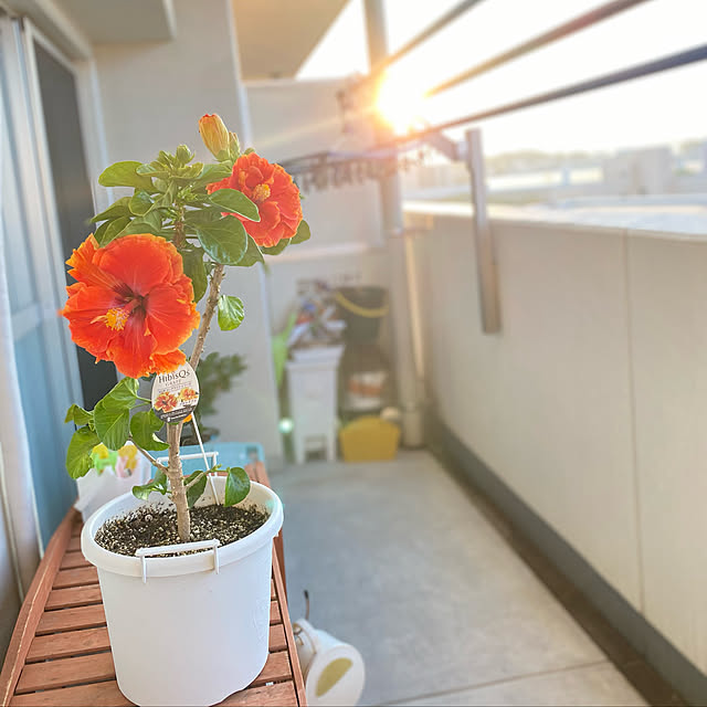 arikoさんの実例写真
