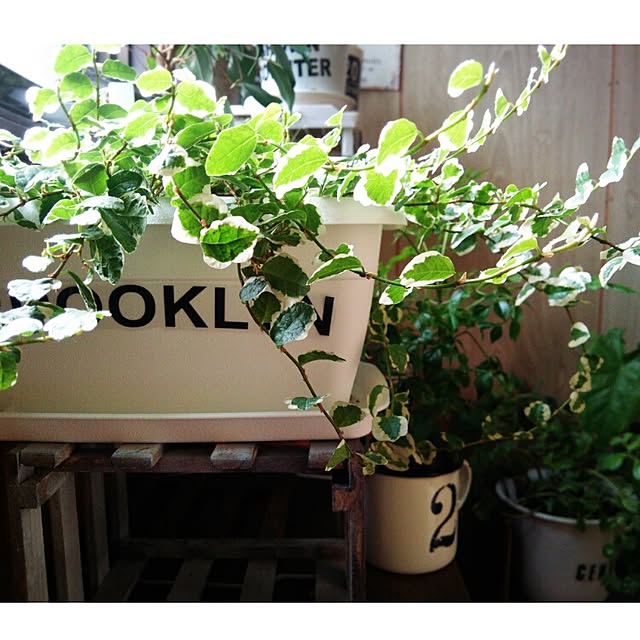 tomokaさんの実例写真