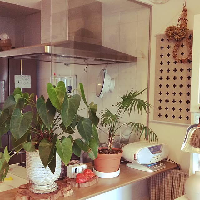 akika_naturalhomeさんの実例写真