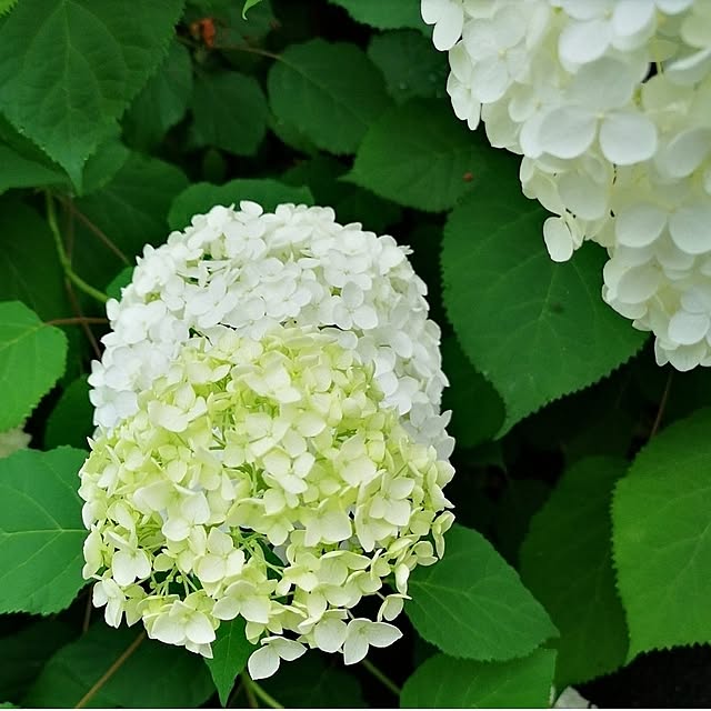 ku-garnet18さんの部屋