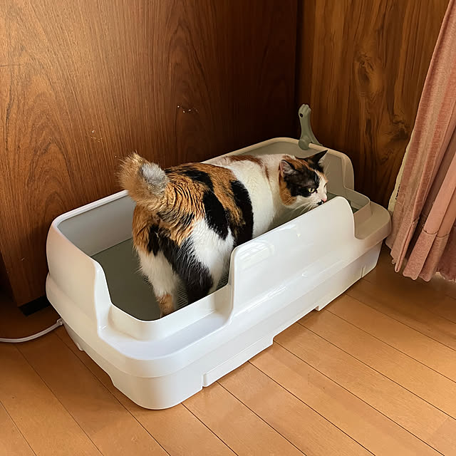 kibidangotabetaiさんの実例写真