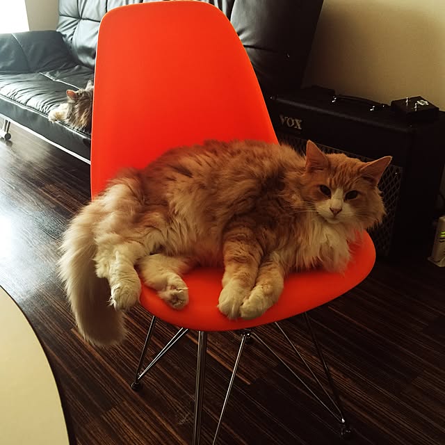Yusukeさんの実例写真