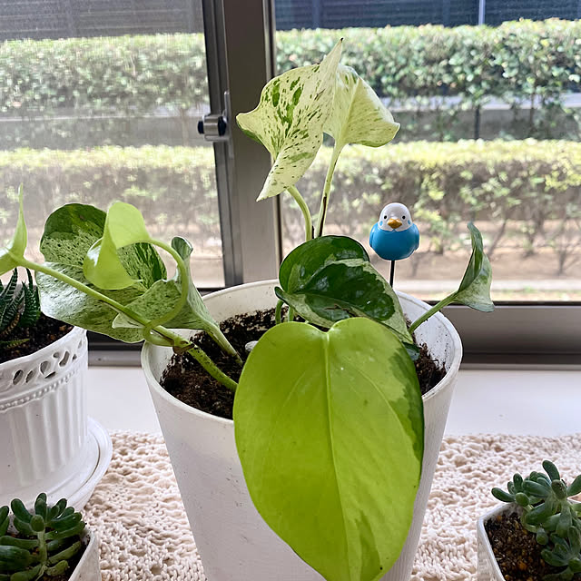 YuuKoさんの部屋